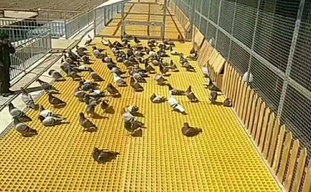 烏蘇玻璃鋼格柵板的顏色選擇