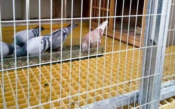 黑龍江玻璃鋼格柵板廠家