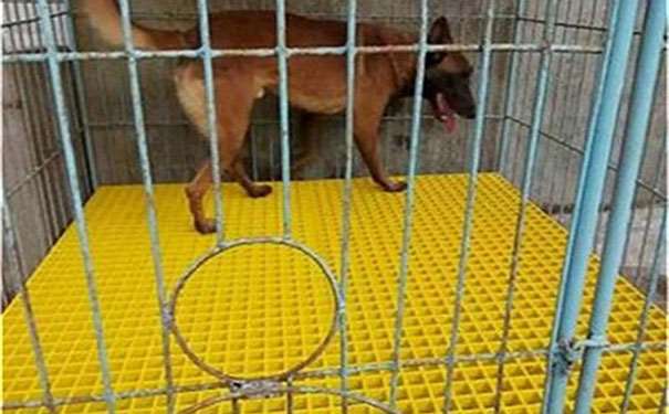 小孔徑玻璃鋼格柵板