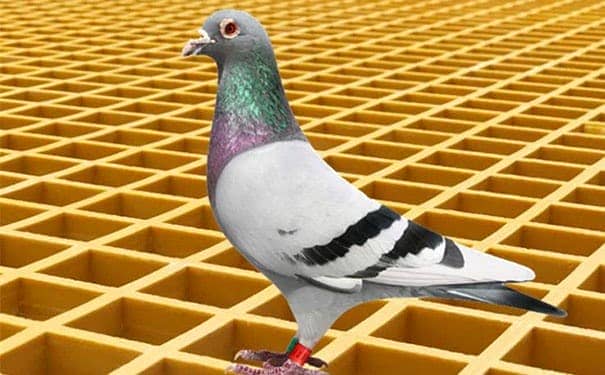 臨沂玻璃鋼格柵板定制