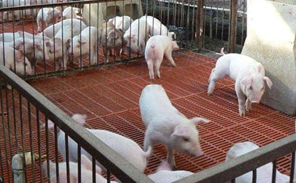 供應frp<a href=/geshan/44.html target=_blank class=infotextkey>玻璃鋼格柵板</a>