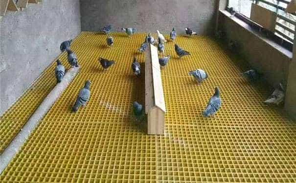 <a href=/geshan/44.html target=_blank class=infotextkey>玻璃鋼格柵板</a>的等級劃分及特點