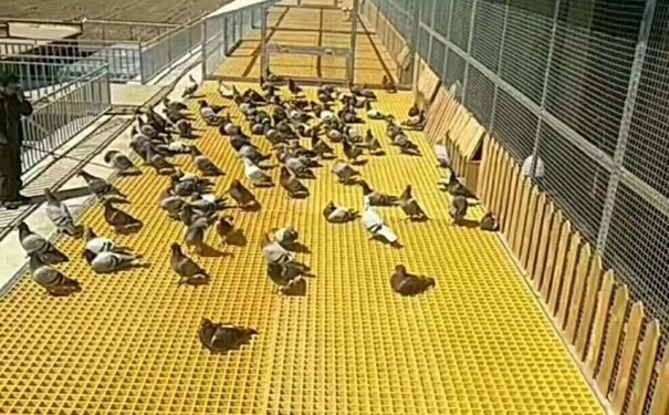 南寧<a href=/geshan/44.html target=_blank class=infotextkey>玻璃鋼格柵板</a>